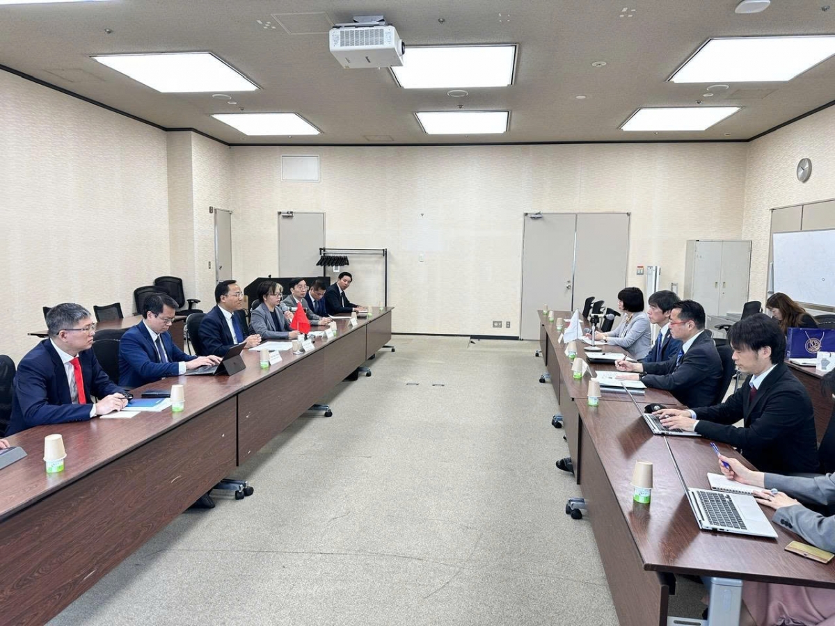 Vietnam and Japan enhance energy cooperation